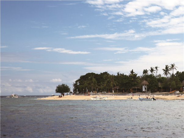 [보홀 / 라메디 디럭스룸] 거북이스노클링+돌핀왓칭 3박5일