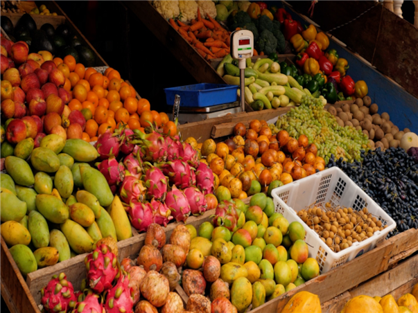 [보홀] 돌핀베이 디럭스룸 3박5일