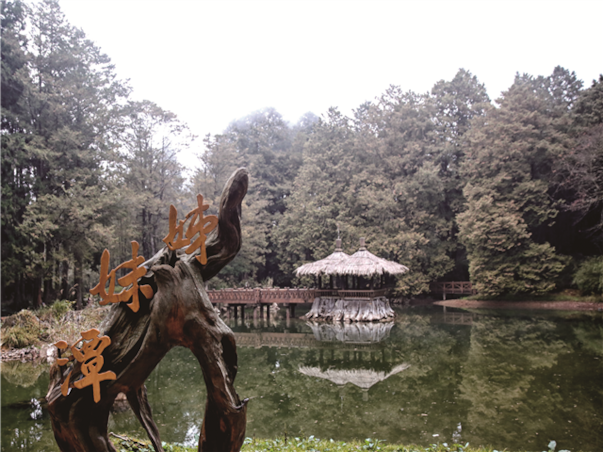 대만 남부[가오슝/아리산] 4일(노쇼핑/관쯔링머드온천/몽시대 대관람차)