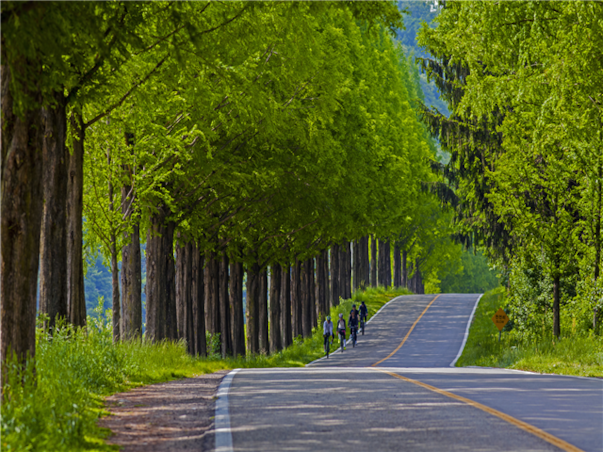 전라도 진안 전주 당일여행 ＜마이산여행/연인의길＞