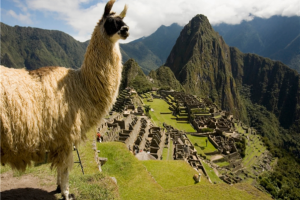 남미 4개국 일주 13일＜마추픽추/이과수폭포＞