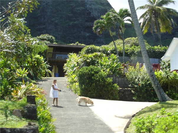 [슬림][관광1일+자유3일] 특급 힐튼 가든 인 ＜시티뷰＞ 하와이 6일