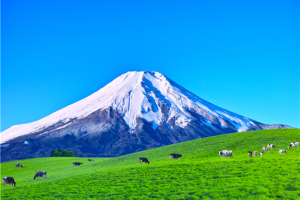 [동경NO1][전일관광] 후지산/하코네/오다이바 동경 4일 (온천호텔1박/트윈룸/해적유람선탑승)