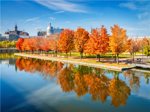 [노쇼핑] 미동부 캐나다10일 ＜올드퀘벡숙박/나이아가라/뉴욕/워싱턴/몬트리올/아울렛＞