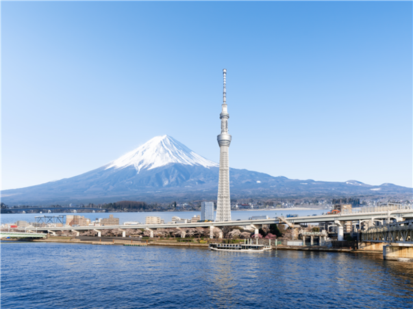 [하이클래스/비즈니스] 아만 도쿄 3일 자유여행 ＜전용차량/가이드 제공＞