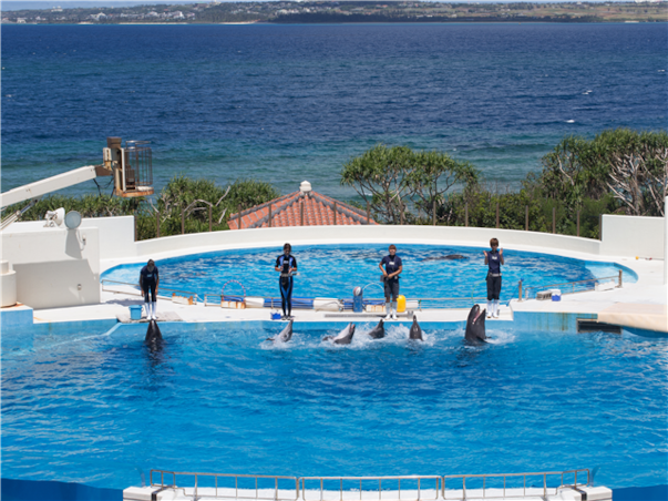 [하이클래스/비즈니스탑승] 오키나와 4일＜철판스테이크+랍스타+스시오마카세＞