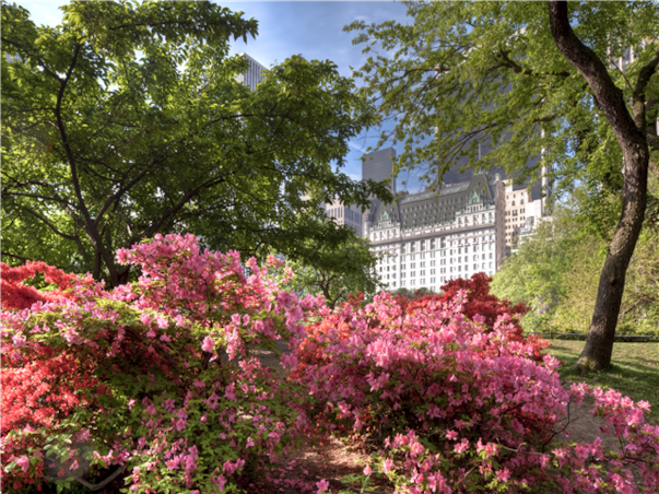 [하이클래스/비즈니스] 한 편의 영화 같은 뉴욕 7일 ＜맨해튼특급호텔/디너크루즈/뮤지컬/미슐랭＞