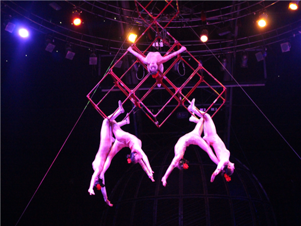 [섬속의힐링] 제주도 우도 3일 ＜노옵션/특식4회/곶자왈/사려니숲길/신신호텔＞