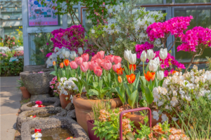 [힐링BEST] 제주도 3일 ＜카멜리아힐/안돌오름/족욕체험/관광급/아시아나＞