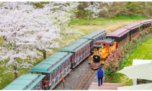 [골프72홀+핵심관광] 제주 힐링 파크골프 1박 2일